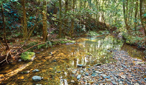 Blackbutt Walking Track - Accommodation Fremantle 3