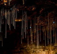 Tamborine Mountain Glow Worm Caves - Accommodation Fremantle
