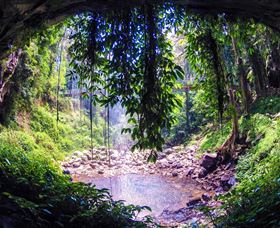 Dorrigo Rainforest Centre - Accommodation Fremantle 1