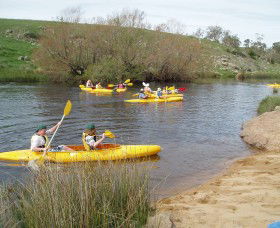 Bombala Platypus Reserve - Accommodation Fremantle 1