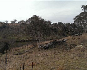 Bombala Platypus Reserve - Accommodation Fremantle 3