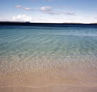 Hyams Beach trail - Accommodation Fremantle