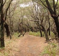 Pretty Beach to Snapper Point walking track - Accommodation Fremantle