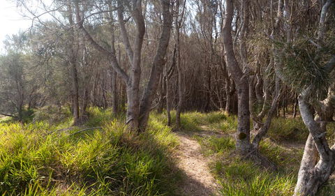 Murramarang Aboriginal Area Walking Track - Accommodation Fremantle 1