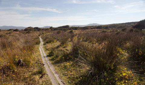 Murramarang Aboriginal Area Walking Track - Accommodation Fremantle 2