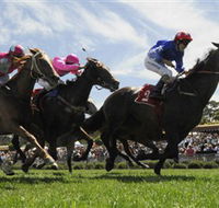 Moruya Racecourse - Accommodation Fremantle