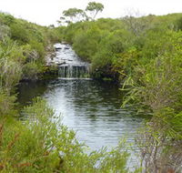Booderee National Park Green Patch and Telegraph Creek Walking Tracks - Accommodation Fremantle