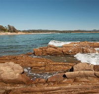 Shelly Beach Picnic Area - Moruya Heads - Accommodation Fremantle