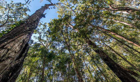 Brimbin Nature Reserve - Accommodation Fremantle 3
