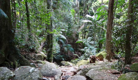 Wollumbin National Park - Accommodation Fremantle 2