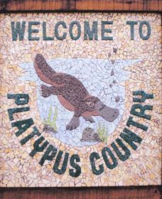 Cathcart Collectables - Accommodation Fremantle 0