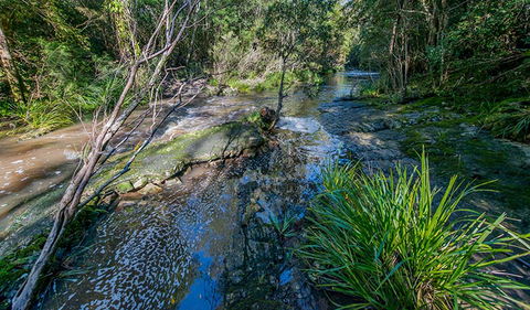 Dawson River Walking Track - Accommodation Fremantle 0