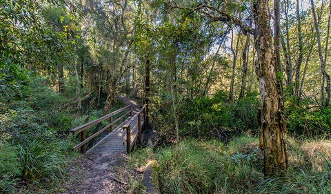 Dawson River Walking Track - Accommodation Fremantle 1