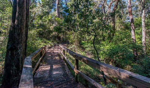 Dawson River Walking Track - Accommodation Fremantle 3