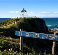 One Tree Point Lookout and Picnic Area - Accommodation Fremantle