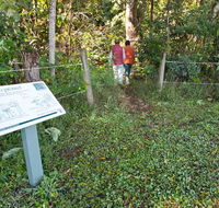 Coramba Nature Reserve - Accommodation Fremantle
