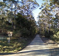 Box Cutting Rainforest Walk - Accommodation Fremantle
