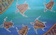 Dunghutti Ngaku Aboriginal Art Gallery - thumb 4