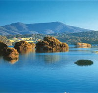 Wagonga Picnic Area - Accommodation Fremantle