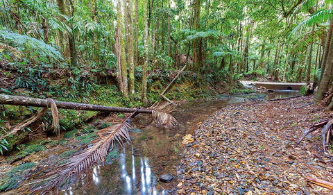 Ulidarra National Park - Accommodation Fremantle 0