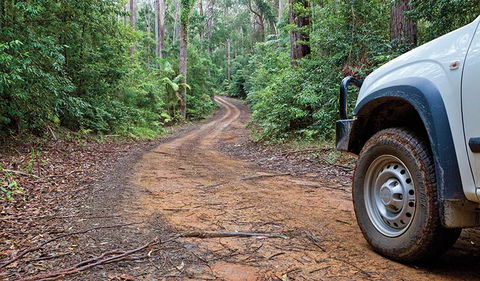 Ulidarra National Park - Accommodation Fremantle 2
