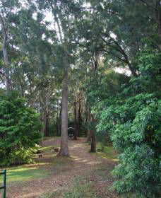 Orara East State Forest - Accommodation Fremantle 1