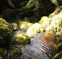 South East Forests National Park - Accommodation Fremantle