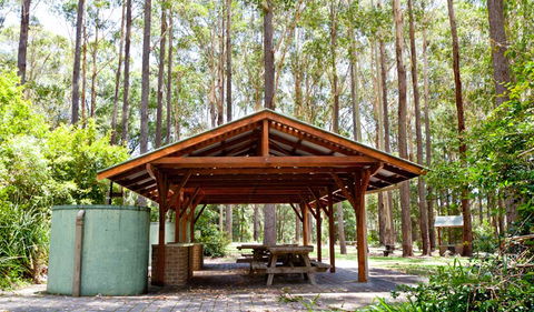 Bongil Picnic Area - Accommodation Fremantle 0