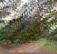 End Peak walking track - Accommodation Fremantle