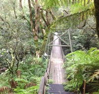 Bemm River Scenic Reserve - Accommodation Fremantle