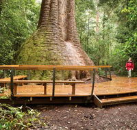 Burrawan State Forest - Accommodation Fremantle