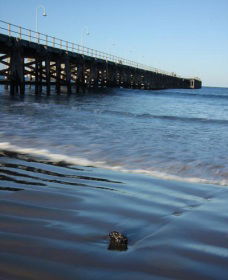 Jetty Beach - Accommodation Fremantle 0