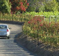 Cassegrain Wines - Accommodation Fremantle