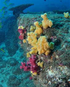 Shag Rock Dive Site - Accommodation Fremantle 0