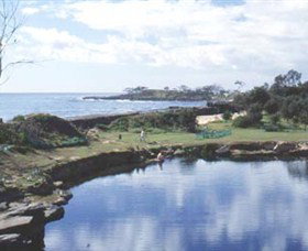 Angourie Blue Pool - Accommodation Fremantle 1