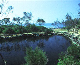 Angourie Blue Pool - Accommodation Fremantle 2