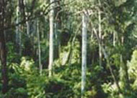 Lind National Park - Accommodation Fremantle 0