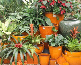 Diamond Waters Garden Nursery - Accommodation Fremantle 1