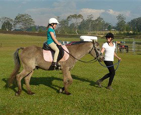 Port Macquarie Horse Riding Centre - Accommodation Fremantle 0