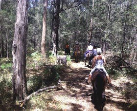 Port Macquarie Horse Riding Centre - Accommodation Fremantle 4