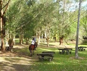 Port Macquarie Horse Riding Centre - Accommodation Fremantle 6