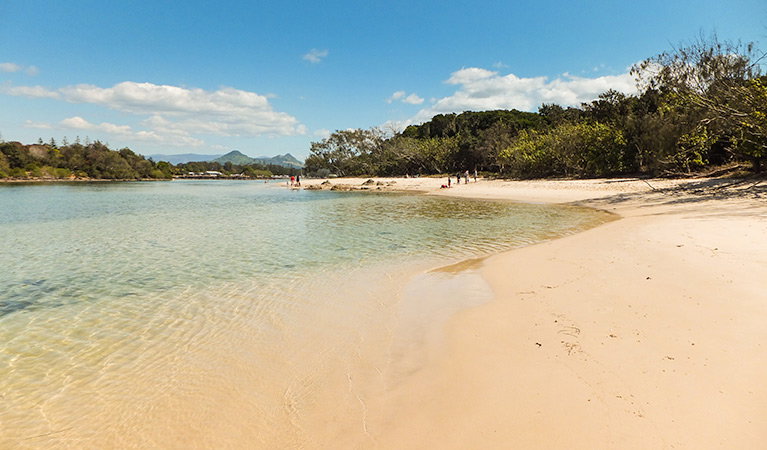 Brunswick Heads NSW Accommodation Fremantle