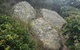 Korogoro Walking Track - thumb 2
