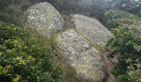 Korogoro Walking Track - Accommodation Fremantle 2
