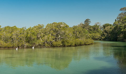 Tyagarah Nature Reserve - Accommodation Fremantle 0