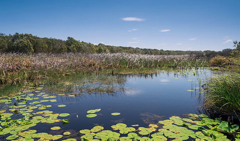 Tyagarah Nature Reserve - Accommodation Fremantle 1