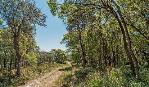Tyagarah Nature Reserve - Accommodation Fremantle 2