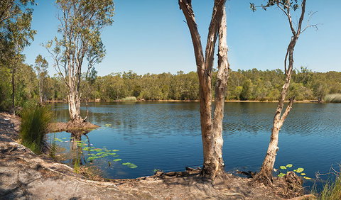 Tyagarah Nature Reserve - Accommodation Fremantle 3