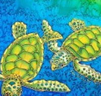 Sea Silks Gallery - Accommodation Fremantle