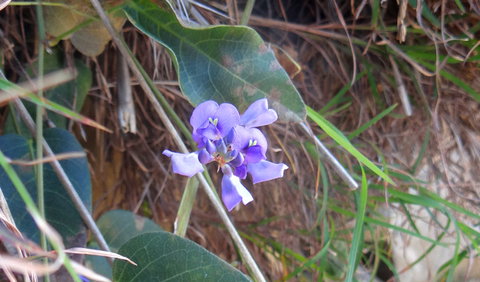Broken Head Nature Reserve - Accommodation Fremantle 1